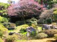 京都御所庭園