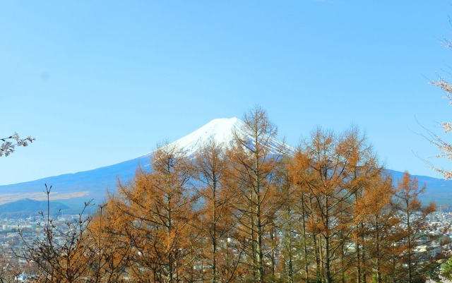 富士吉田市