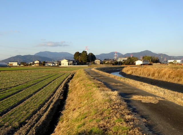 冬の夕暮れ