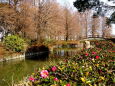 山茶花が咲くクリーク公園