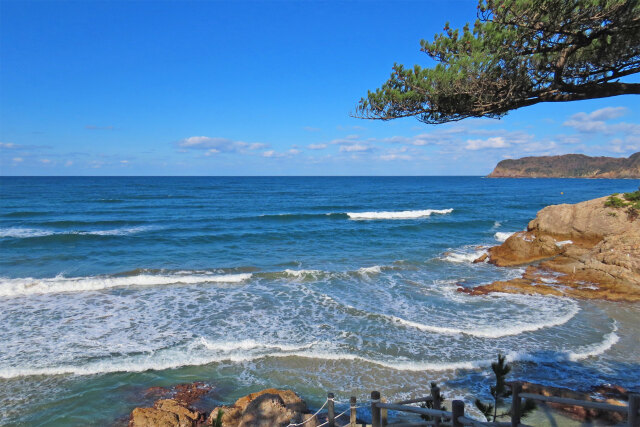 冬晴れの海岸 12