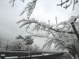 河口湖の雪景色