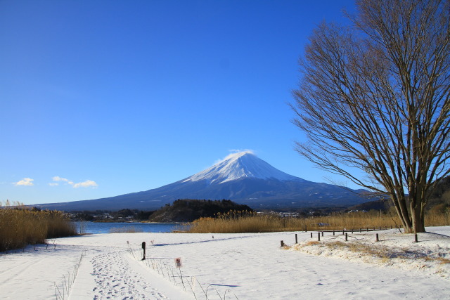 大石公園の雪