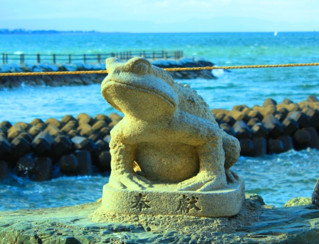 二見ヶ浦のカエル