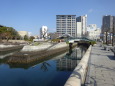 水辺公園の小さな島に架かる橋