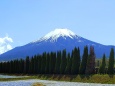 山中湖花の都公園