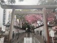 尾鷲神社