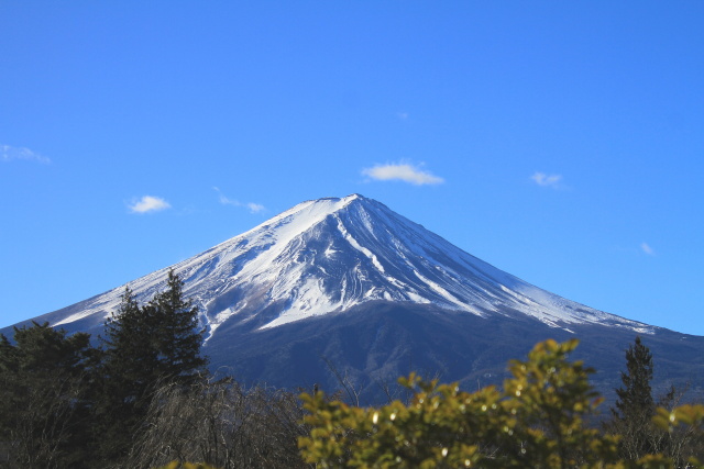 富士山