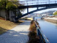 水辺の公園遊歩道