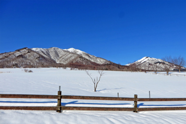 雪の牧場と蒜山