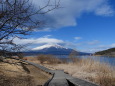 山中湖遊歩道