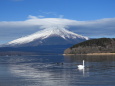 雲の富士山