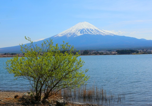 3月の河口湖