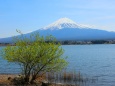 3月の河口湖