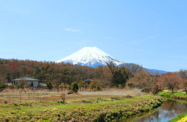 初春の忍野八海