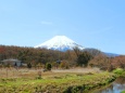 初春の忍野八海