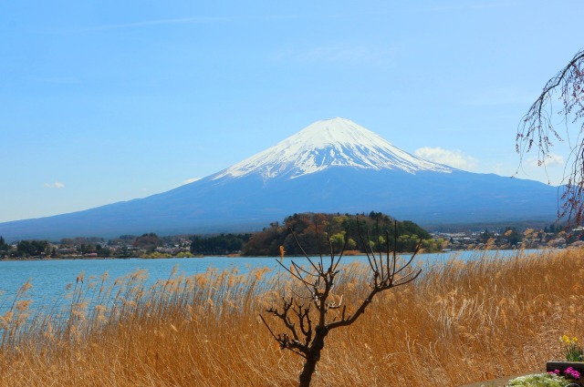 初春の河口湖