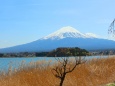 初春の河口湖