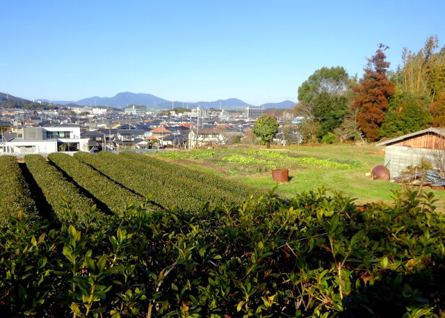 春めいてきた里山から