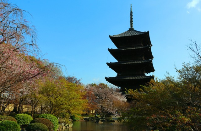 東寺