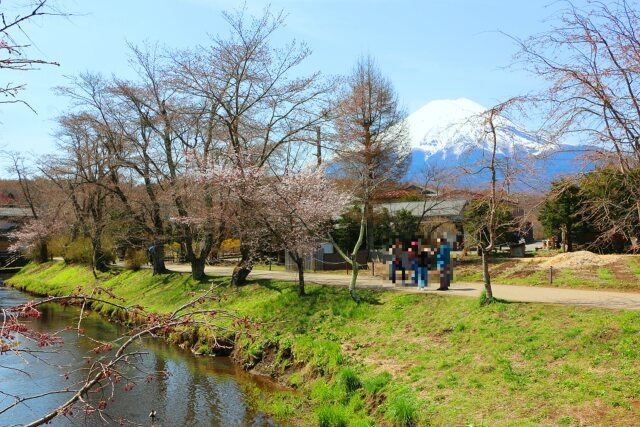 初春の忍野八海