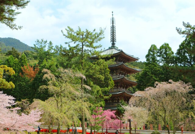 醍醐寺