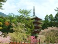 醍醐寺