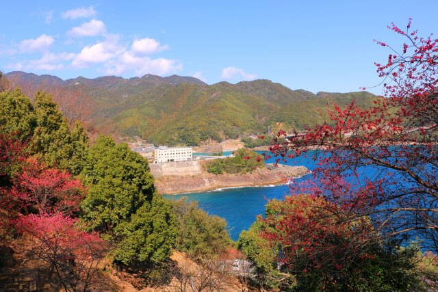 初春の東紀州の海