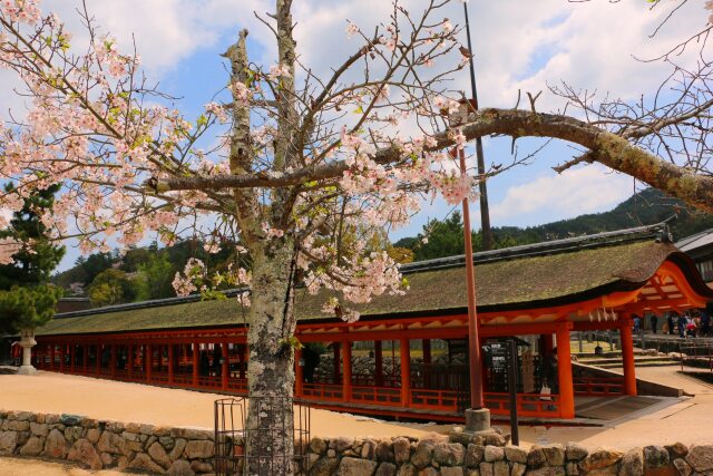 厳島神社