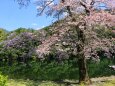 春の東紀州ダム湖