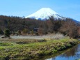 初春の忍野八海