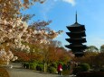 東寺