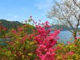 春の東紀州の海