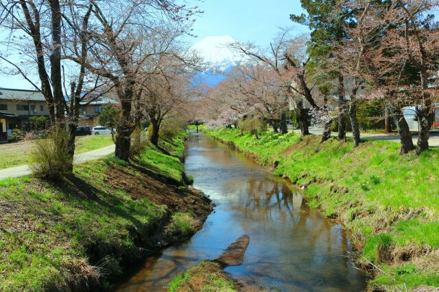 初春の忍野八海