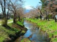 初春の忍野八海