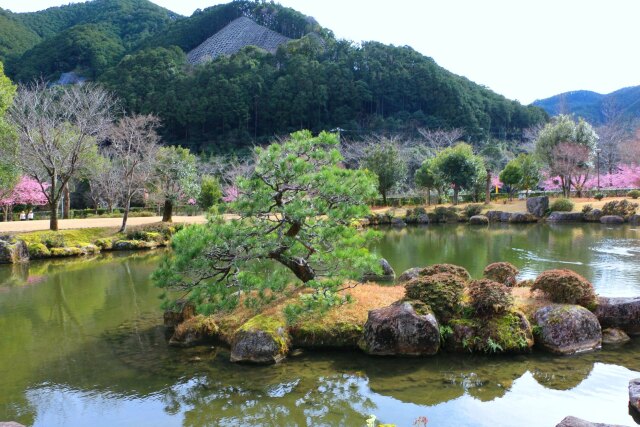 春の庭園