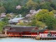 春の厳島神社