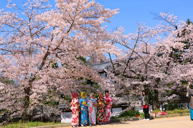 円山公園