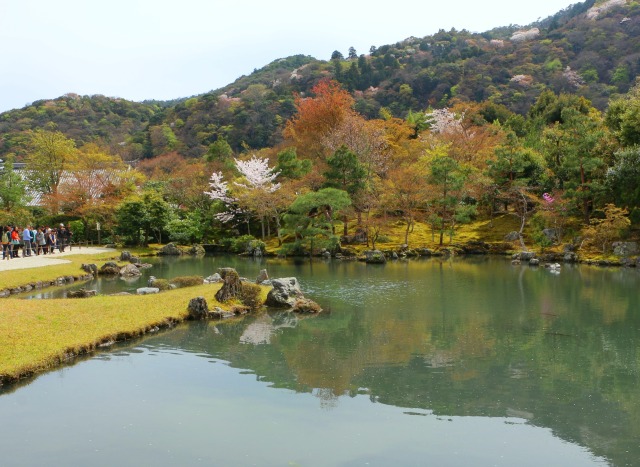 春の日本庭園