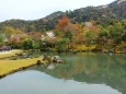 春の日本庭園