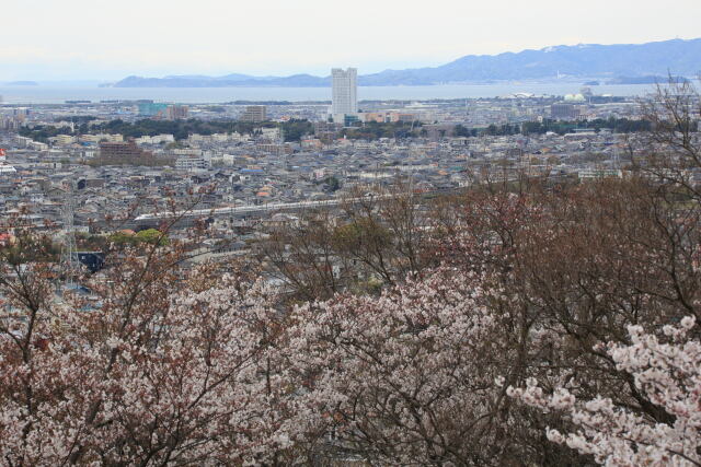 春の新幹線