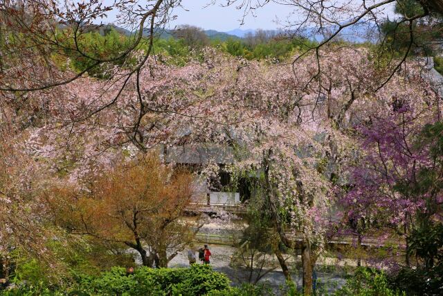 天龍寺