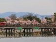 渡月橋