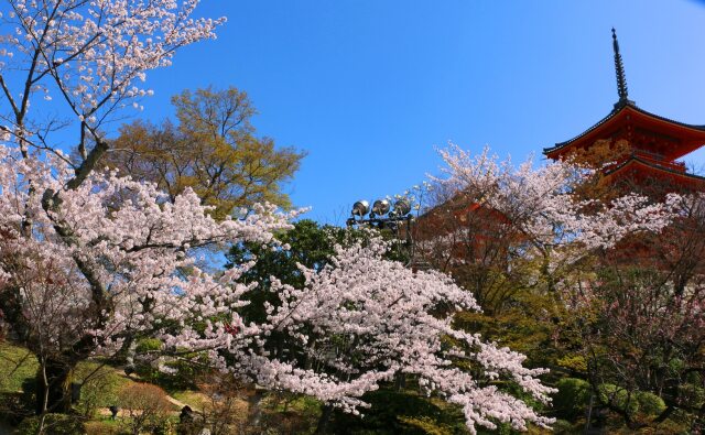 清水寺