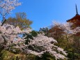 清水寺