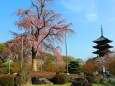 東寺