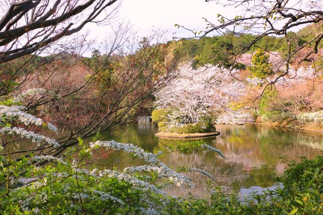 龍安寺