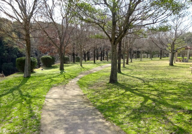 春めいてきた公園の散歩道