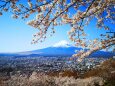 春の富士吉田市