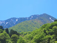 新緑の季節 大山